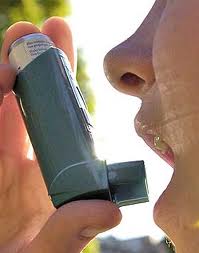 obat herbal asma atau sesak nafas 